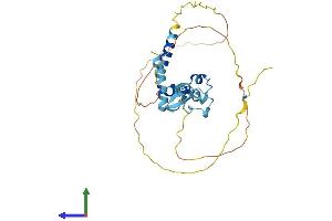 AlphaFold protein structure predicition of Human Recombinant ZC3H8 Protein, UniprotID Q8N5P1