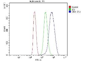 Flow Cytometry analysis of MCF-7 cells using anti-DDX1 antibody (ABIN7602051). (DDX1 antibody  (AA 562-740))