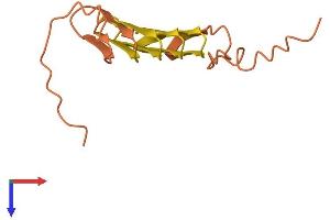 Keratin Associated Protein 19-2 (KRTAP19-2) (AA 1-141) protein (His tag)