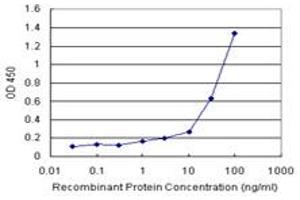 KHK (Human) Matched Antibody Pair