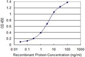 Detection limit for recombinant GST tagged DCLK1 is 0. (DCLK1 antibody  (AA 640-729))