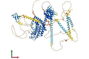 AlphaFold protein structure predicition of Human Recombinant ARHGEF2 Protein, UniprotID Q92974