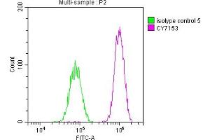 Overlay histogram showing HepG2 cells stained with ABIN7127664 (red line) at 1:50. (Recombinant PAK2 antibody)