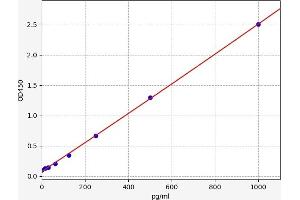Slow Skeletal Troponin T (TNNT1) ELISA Kit