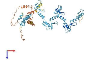 Protein Structure (PS) image for Zinc Finger Protein 486 (ZNF486) (AA 1-463) protein (His tag) (ABIN7545327)