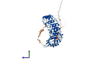 AlphaFold protein structure predicition of Human Recombinant FBXL16 Protein, UniprotID Q8N461