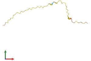 AlphaFold protein structure predicition of Human Recombinant LINC01556 Protein, UniprotID Q5JQF7 (C6orf100 Protein (AA 1-62) (Fc Tag))