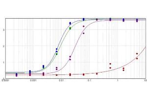 ELISA results of purified Goat F(ab')2 Anti-MOUSE IgG F(c) Antibody Biotin Conjugated Min X Bv Hs & Hu Serum Proteins tested against purified Mouse IgG F(c) (Green Line).