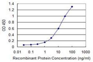 Detection limit for recombinant GST tagged IGSF6 is 0. (IGSF6 antibody  (AA 29-241))