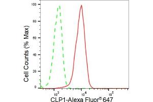 Flow cytometric analysis of CLP1 expression in HeLa cells using CLP1 antibody (ABIN7798094), 1:2,000). (Recombinant CLP1 antibody)