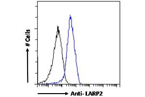 ABIN190867 Flow cytometric analysis of paraformaldehyde fixed HepG2 cells (blue line), permeabilized with 0. (LARP1B antibody  (Internal Region))