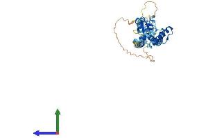 AlphaFold protein structure predicition of Human Recombinant RNF32 Protein, UniprotID Q9H0A6 (RNF32 Protein (AA 1-362) (His tag))