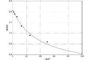 Allopregnanolone ELISA Kit