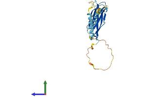 AlphaFold protein structure predicition of Human Recombinant MOSPD3 Protein, UniprotID O75425 (MOSPD3 Protein (AA 1-235) (His tag))