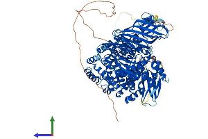 AlphaFold protein structure predicition of Mouse Recombinant Lnpep Protein, UniprotID Q8C129 (LNPEP Protein (AA 1-1025) (His tag))