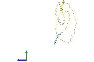 AlphaFold protein structure predicition of Human Recombinant VCX3A Protein, UniprotID Q9NNX9 (VCX3A Protein (AA 1-186) (His tag))