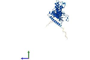 AlphaFold protein structure predicition of Mouse Recombinant Fkbp6 Protein, UniprotID Q91XW8 (FKBP6 Protein (AA 1-327) (His tag))