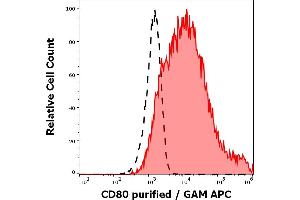 Separation of CD80 transfected P815 cells stained using anti-human CD80 (MEM-233) purified antibody (concentration in sample 1. (CD80 antibody  (Extracellular Domain))