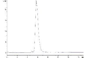 The purity of Biotinylated Cynomolgus ACE2 is greater than 95 % as determined by SEC-HPLC. (ACE2 Protein (His-Avi Tag,Biotin))