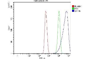 Flow Cytometry analysis of U251 cells using anti-SYT16 antibody (ABIN7599425). (SYT16 antibody  (AA 1-474))