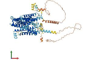 AlphaFold protein structure predicition of Mouse Recombinant Slc7a14 Protein, UniprotID Q8BXR1 (SLC7A14 Protein (AA 1-771) (His tag))