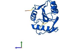 Protein Structure (PS) image for Thioredoxin-Like 4B (TXNL4B) (AA 1-149) protein (His tag) (ABIN7544959)