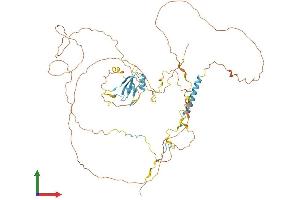 AlphaFold protein structure predicition of Human Recombinant EIF4B Protein, UniprotID P23588
