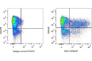 Detection of IFN-γ by flow cytometry in viable porcine PBMC. (Interferon gamma antibody  (PromoFluor 647 Premium))