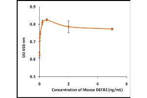 Defensin beta 3 Protein (DEFB3)