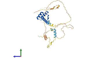 Protein Structure (PS) image for Pituitary Homeobox 3 (PITX3) (AA 1-302) protein (His tag) (ABIN7554990)