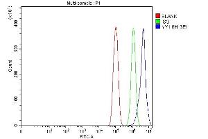 Flow Cytometry analysis of PC-3 cells using anti-YY1 antibody (ABIN7603001).