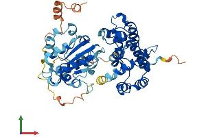 AlphaFold protein structure predicition of Human Recombinant ARHGAP1 Protein, UniprotID Q07960 (ARHGAP1 Protein (AA 1-439) (His tag))