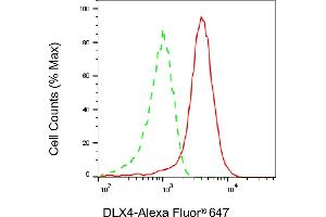 Flow cytometric analysis of DLX4 expression in HAP-1 cells using DLX4 antibody (ABIN7798358), 1:2,000).