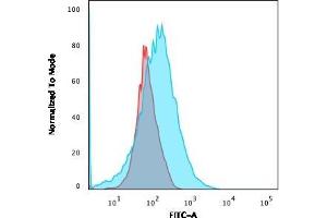 Flow Cytometric Analysis of MOLT-4 cells using CD2 Mouse Monoclonal Antibody (HuLy-m1) followed by goat anti-Mouse IgG-CF488 (Blue); Isotype Control (Red). (CD2 antibody)