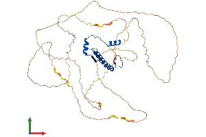 Protein Structure (PS) image for Myocyte Enhancer Factor 2A (MEF2A) (AA 1-498) protein (His tag) (ABIN7563887)