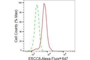 Flow cytometric analysis of ERCC8 expression in HeLa cells using ERCC8 antibody (ABIN7798541), 1:2,000). (Recombinant ERCC8 antibody)