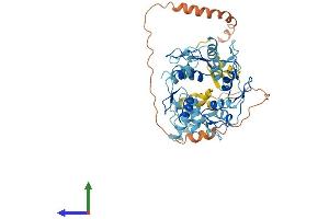 Protein Structure (PS) image for Zinc Finger Protein 141 (ZNF141) (AA 1-474) protein (His tag) (ABIN7545534)