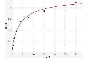 Typical standard curve (IgG2 ELISA Kit)