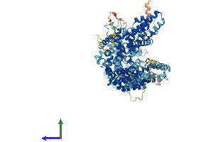 AlphaFold protein structure predicition of Human Recombinant INTS8 Protein, UniprotID Q75QN2 (INTS8 Protein (AA 1-995) (His tag))