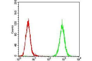 Flow cytometric analysis of Hela cells using PDGFRA mouse mAb (green) and negative control (red). (PDGFRA antibody  (AA 361-528))