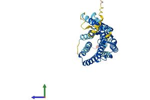 AlphaFold protein structure predicition of Human Recombinant OR51S1 Protein, UniprotID Q8NGJ8 (OR51S1 Protein (AA 1-323) (His tag))