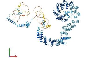 AlphaFold protein structure predicition of Human Recombinant PRPF6 Protein, UniprotID O94906 (PRP6/ANT-1 Protein (AA 1-941) (His tag))