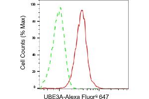 Flow cytometric analysis of UBE3A expression in HepG2 cells using UBE3A antibody (ABIN7800723), 1:2,000). (Recombinant ube3a antibody)