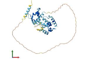 AlphaFold protein structure predicition of Human Recombinant MAGEB2 Protein, UniprotID O15479 (MAGEB2 Protein (AA 1-319) (His tag))