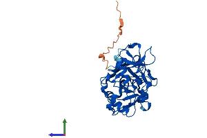 AlphaFold protein structure predicition of Human Recombinant FAHD2A Protein, UniprotID Q96GK7