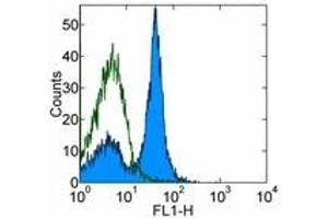 Image no. 1 for anti-CD32/CD16 (CD32/CD16) antibody (ABIN476680) (CD32/CD16 antibody)