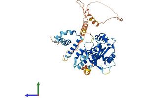 AlphaFold protein structure predicition of Mouse Recombinant Mael Protein, UniprotID Q8BVN9 (MAEL Protein (AA 1-434) (His tag))