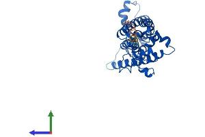 AlphaFold protein structure predicition of Human Recombinant SC5D Protein, UniprotID O75845 (SC5DL Protein (AA 1-299) (His tag))
