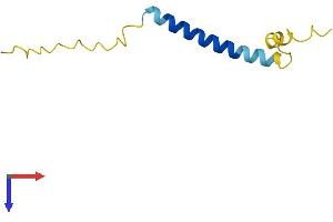 AlphaFold protein structure predicition of Mouse Recombinant Ctxn1 Protein, UniprotID Q8K129 (Cortexin 1 (CTXN1) (AA 1-82) protein (Fc Tag))