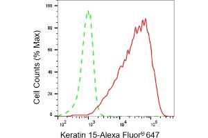 Flow cytometric analysis of Keratin 15 expression in HaCaT cells using Keratin 15 antibody (ABIN7799170), 1:2,000). (KRT15 antibody)